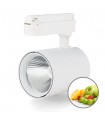 Foco Carril Monofásico AIR Frutas 30W 3500Lm 36º Blanco