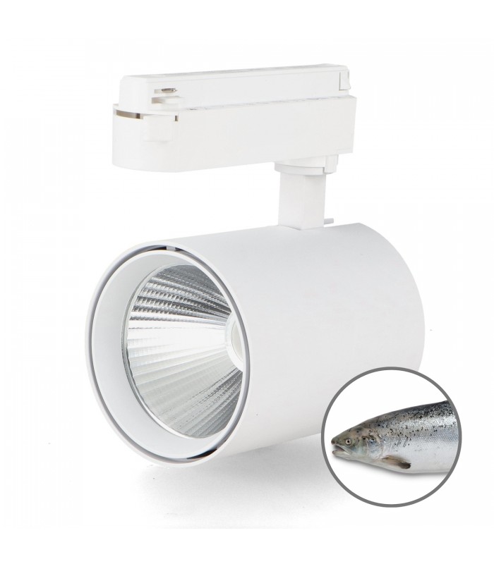 Foco Carril Monofásico AIR Pescaderías 30W 3500Lm 36º Blanco