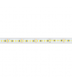 Tira Flexible Led 15.5W 1721Lm/M 180Led/m IP67 DC24V -5 Metros-