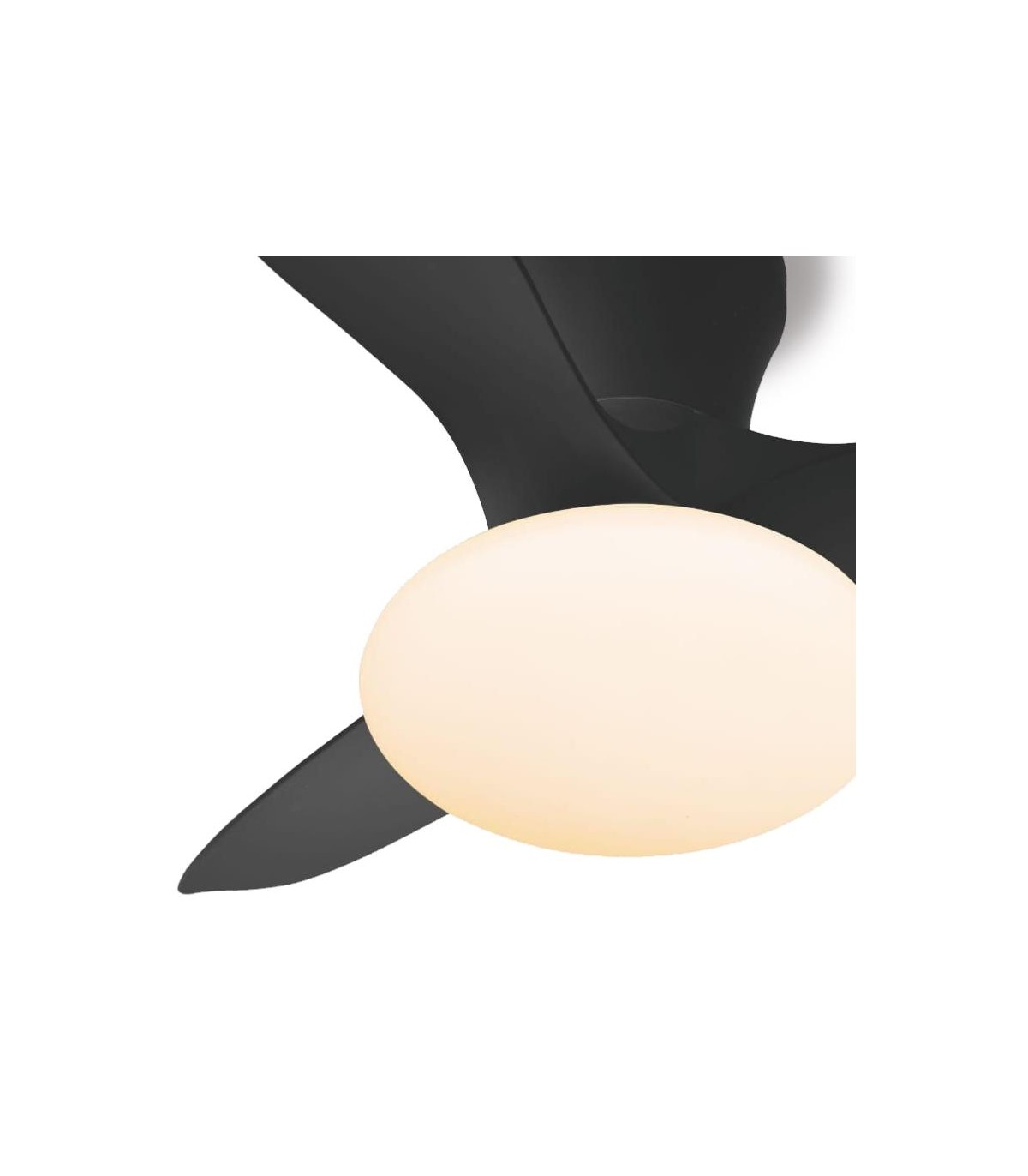 Ventilador de Techo TULIP Negro APP DC 36W 3000Lm 3 Aspas Negro CCT
