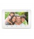 Monitor Auta Free (para kit Wifi)