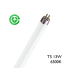 Tubo Fluorescente T5 Trifósforo 13W G5 533mm