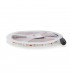 Tira Flexible Led 14W 840Lm/M 60Led/M IP20 DC12V Purple -5 Metros-