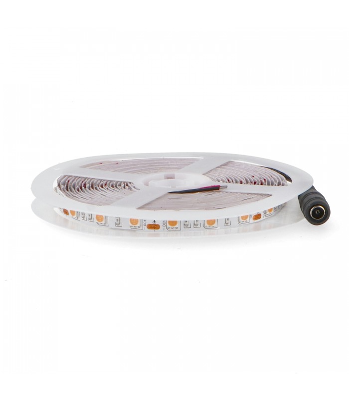 Tira Flexible Led 14W 840Lm/M 60Led/M IP20 DC12V Purple -5 Metros-
