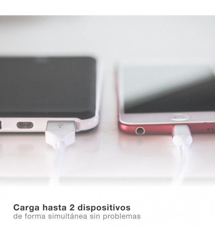 Cargador 230V A 2 USB Tipo A 5V/2A 10W