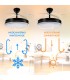 Ventilador BLACK OLGA DC 36W 4138Lm 4 Aspas CCT