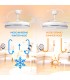 Ventilador WHITE DECOR DC 43W 3800Lm 4 Aspas CCT