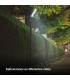Farola PEMALI 50W 6200Lm 140ºx70º IP65