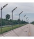 Farola Led Solar MAXLED 50W/5W 600Lm IP54