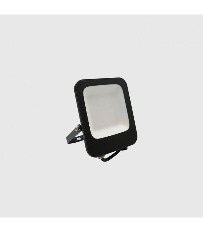Proyector Led PISA PLUS 30W 3000Lm IP65