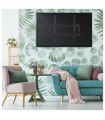 Soporte de TV Inclinable 32" / 55"