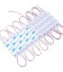 Módulo LED 1W 100Lm 160º DC 12V IP65