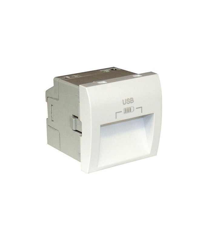 Cargador doble USB Tipo A Salidas a 20º Blanco Q45