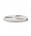 Tira LED OPTICAL 24W 2640Lm/M 60Led/m IP20 DC24V -10 Metros-