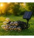 Guirnalda Led Solar 1.2W 10 Bombillas 6,5 Metros IP54