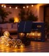 Guirnalda Led Solar 1.2W 10 Bombillas 6,5 Metros IP54