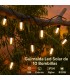 Guirnalda Led Solar 1.2W 10 Bombillas 8 Metros IP54 RGBW