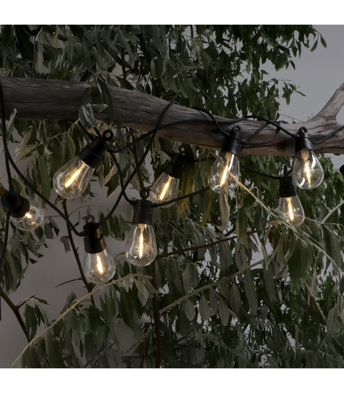 Guirnalda Led 3W 10 Bombillas 220V 6,5 Metros IP44