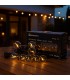 Guirnalda Led 3W 10 Bombillas 220V 6,5 Metros IP44