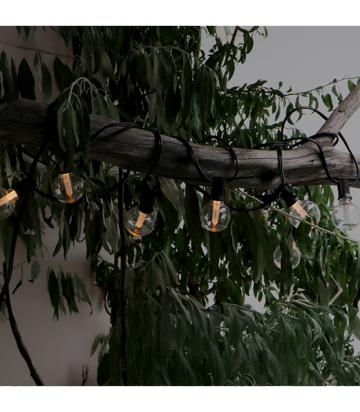 Guirnalda Led 5W 15 Bombillas 220V 7,5 Metros IP44 RGBW