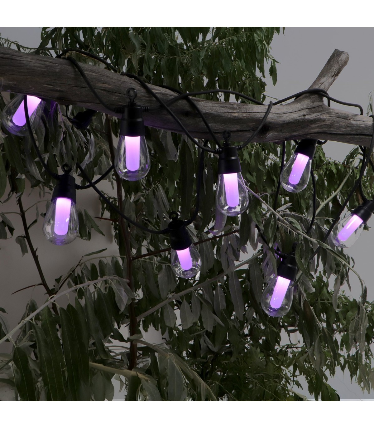 Guirnalda Led 3W 10 Bombillas 220V 8 Metros IP44 RGBW