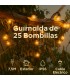 Guirnalda Incandescencia 250W 25 Bombillas 220V 7,5 Metros IP56