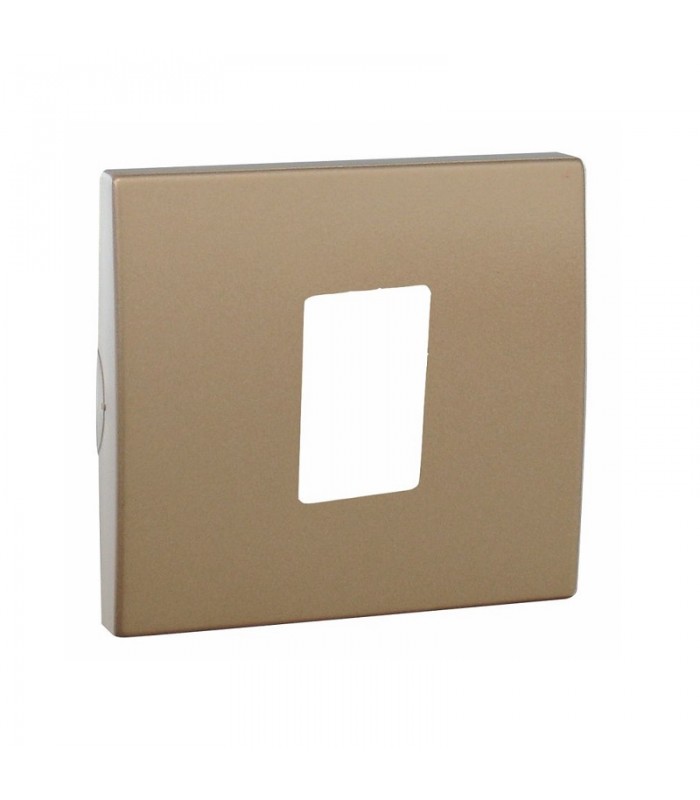 Tapa RJ45 Champán APOLO 5000