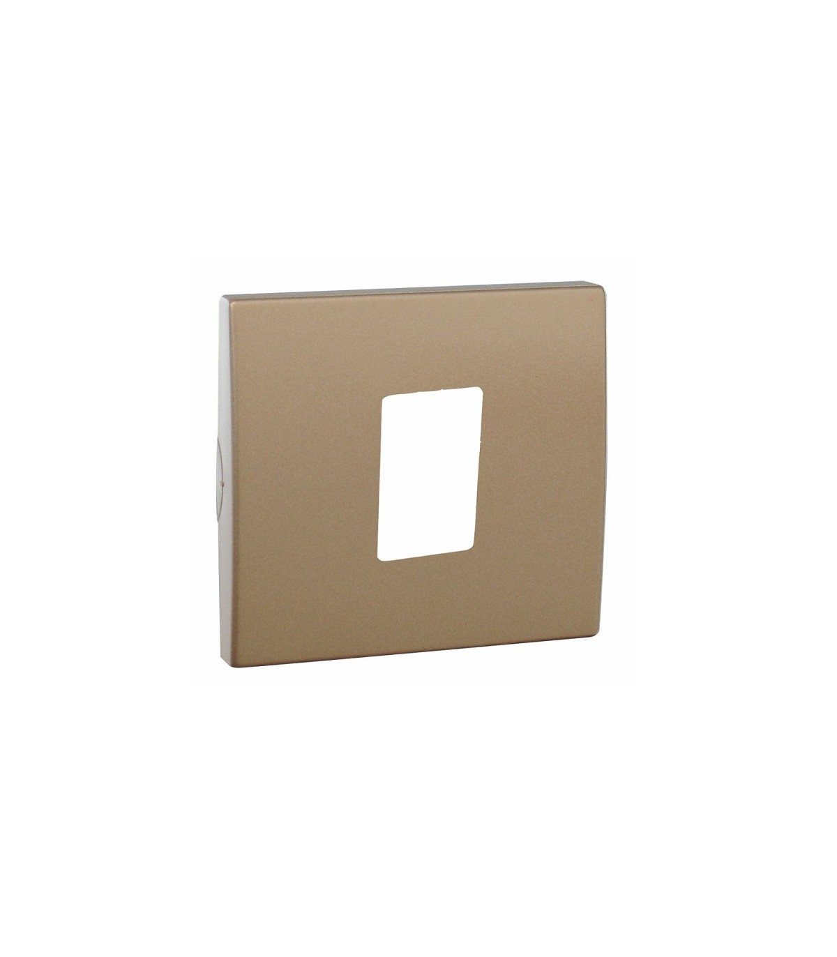 Tapa RJ45 Champán APOLO 5000