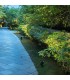 Estaca De Jardín Innova Maxled 2en1 GU10 IP65