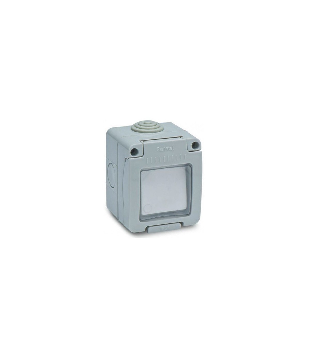 Canmutador Estanco 10A 250V IP55