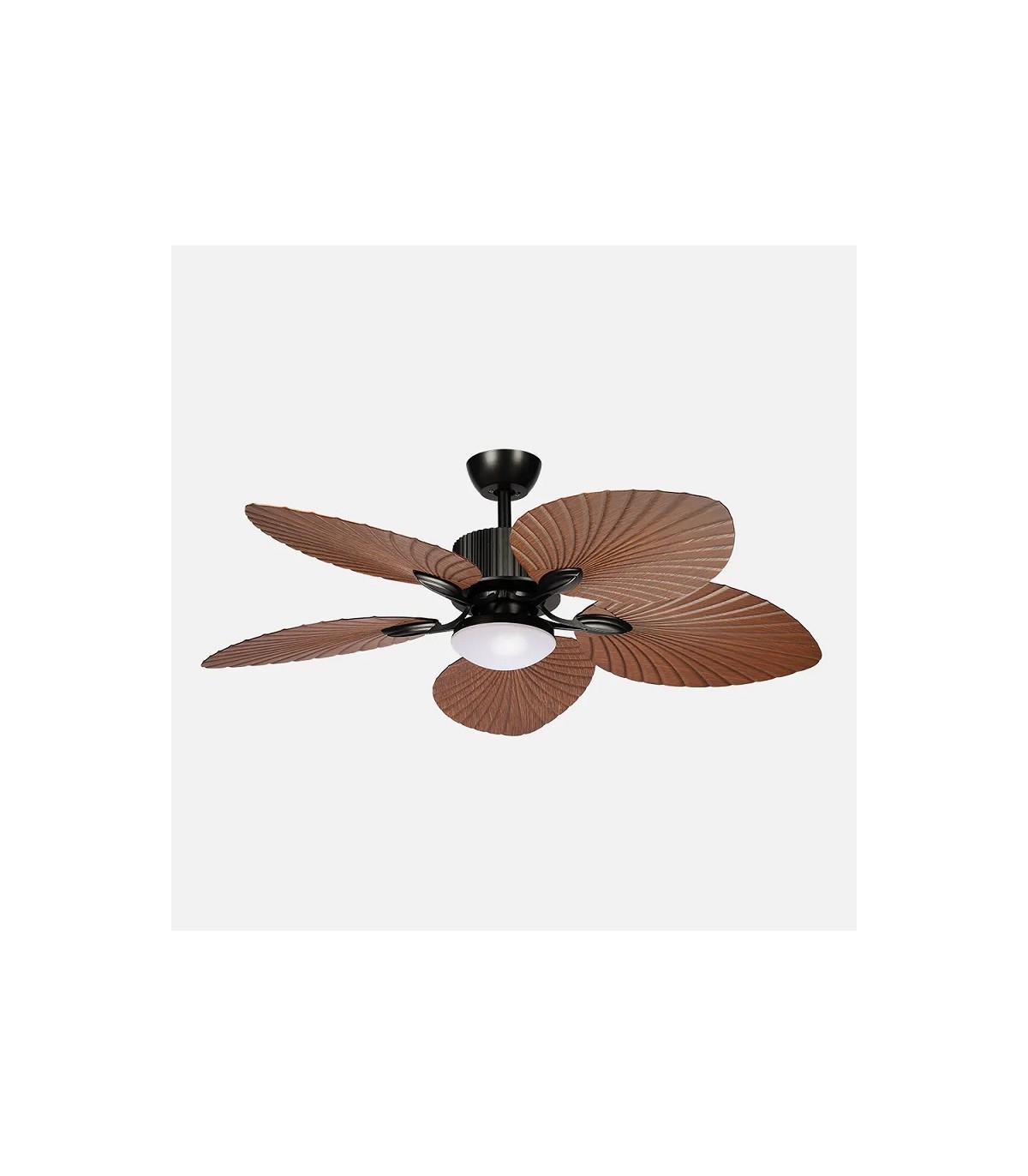 Ventilador de Techo TORCAL Negro DC 24W 2880Lm 5 Aspas Roble CCT
