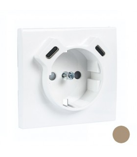 Tapa Base Schuko + USB Tipo C y Tipo C Champán APOLO 5000