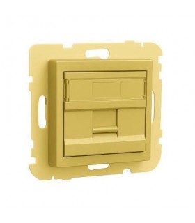 Tapa con soporte para 1 conector RJ45 Dorado Logus 90