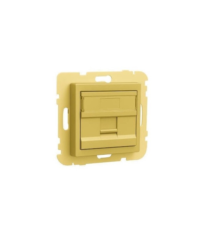 Tapa con soporte para 1 conector RJ45 Dorado Logus 90