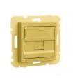 Tapa con soporte para 1 conector RJ45 Dorado Logus 90