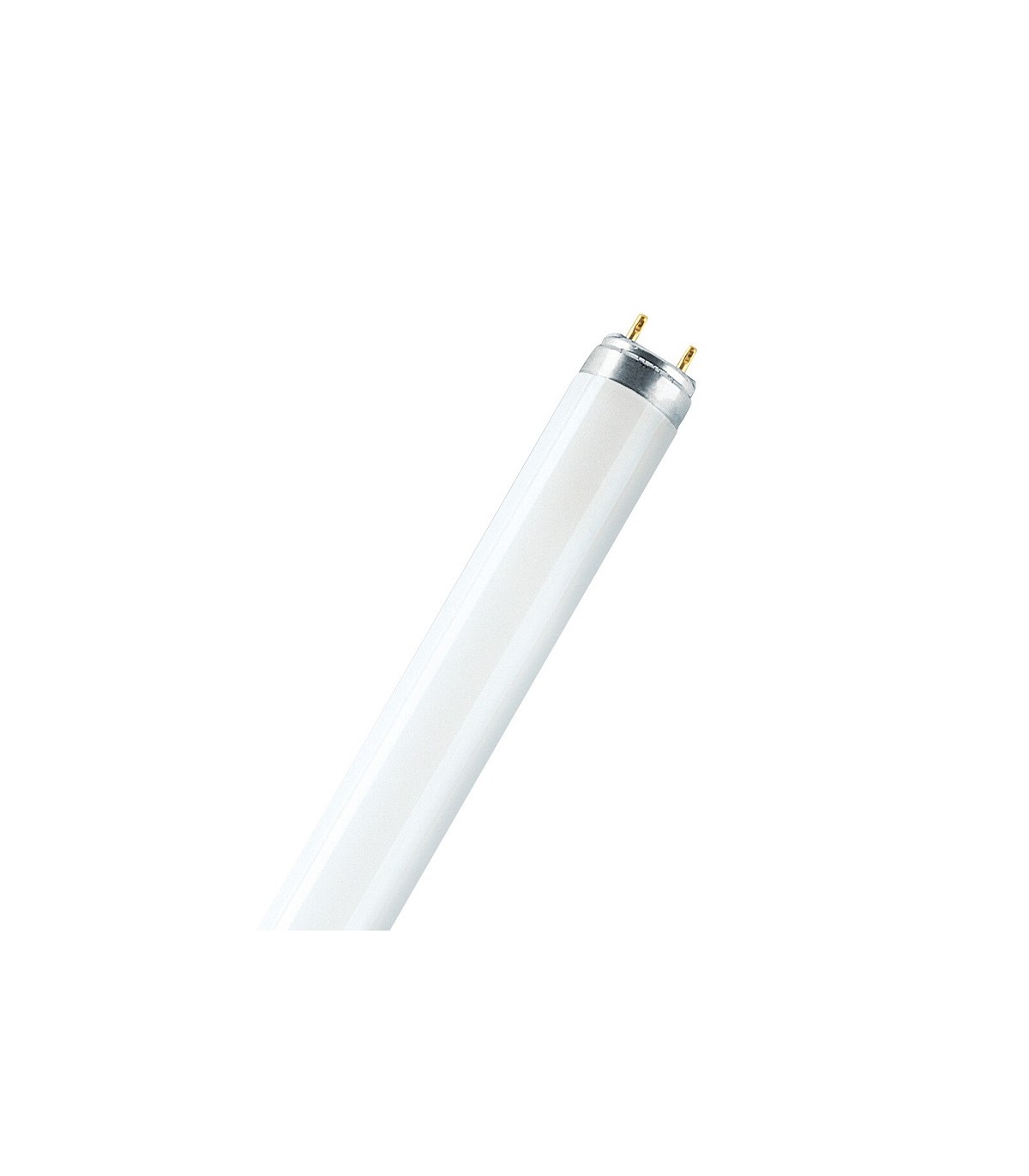 Tubo fluorescente T8 Standard 36W G13 120cm