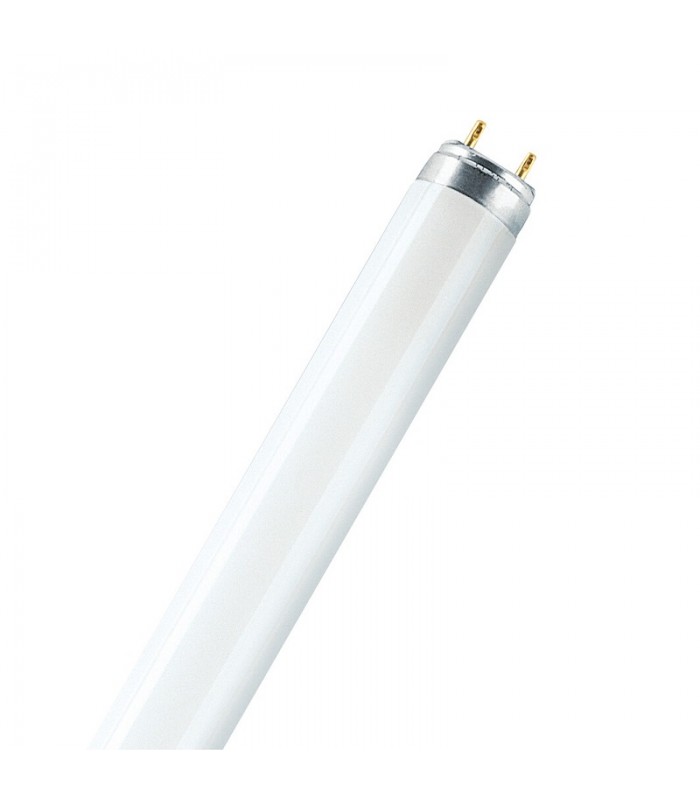 Tubo fluorescente T8 Standard 18W G13 60cm