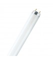 Tubo fluorescente T8 Standard 30W G13 90cm
