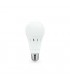 Bombilla Led 22W 2150LM E27