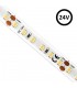 Tira Led Flexible 10W/m 1730Lm 24V IP20 5m 2700k