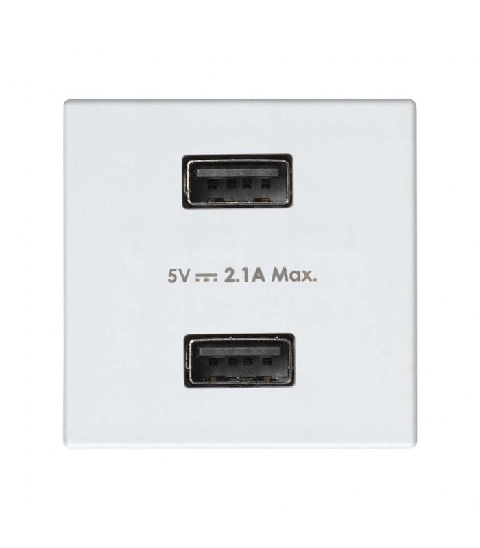 Cargador 2xUSB 230V 1 Elemento Simon 27