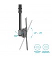 Soporte de TV de Techo 32" / 55"
