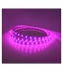 Tira Led Flexible 14.4W/m 840Lm 24V IP67 5m RGB