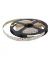 Tira Flexible Led 18W/m 1200Lm  24V IP20 5m CCT