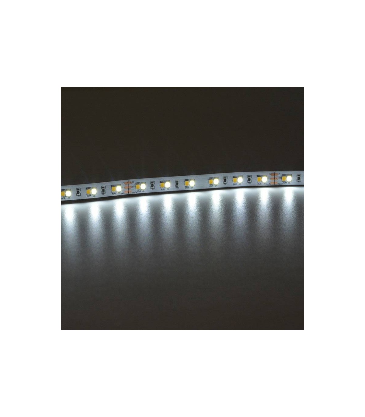 Tira Flexible Led 18W/m 1200Lm  24V IP20 5m CCT
