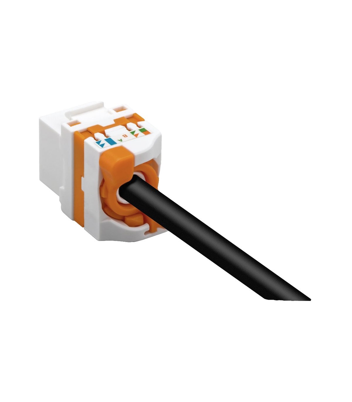 Conector Keystone RJ45 Cat6 UTP Hembra Tool-Less 180º