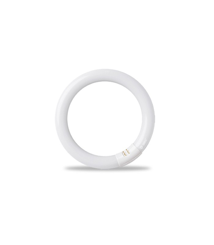 Tubo Circular Fluorescente T9 32W 1950Lm G10q